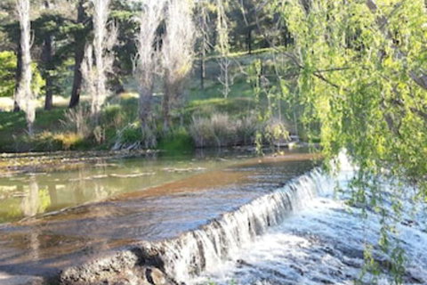 Avocados Accommodation - Accommodation Southport 0