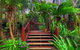 Maleny Tropical Retreat Balinese B&b - thumb 0