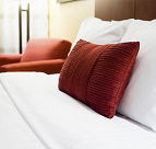 Olive Grove Estate - Southport Accommodation