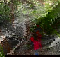 12 Apostles Cottages - Southport Accommodation