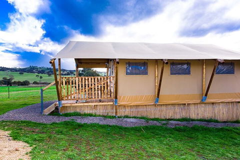 Hillview Farmstay - Southport Accommodation 3