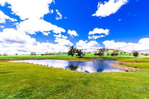 Hillview Farmstay - Southport Accommodation 0