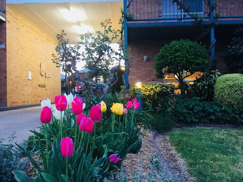 The Vines Motel And Cottages - Southport Accommodation 0