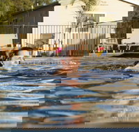 Riverside Cabin Park - Accommodation Southport