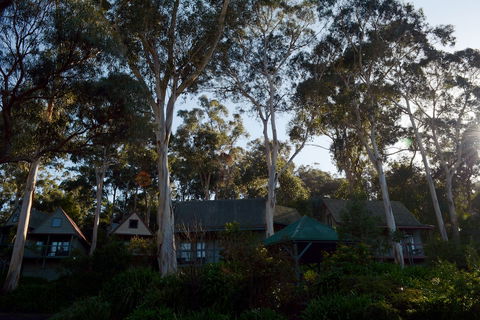Great Ocean Road Cottages - Southport Accommodation 1