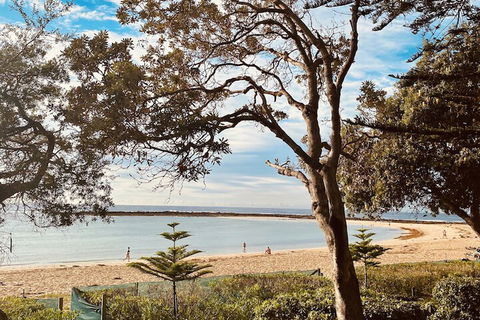 Kims Beachside Retreat - Southport Accommodation 1