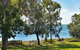 Shelly Beach Motel - thumb 0