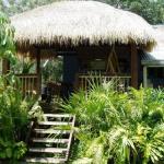 Mango Tourist Hostel - Southport Accommodation 0
