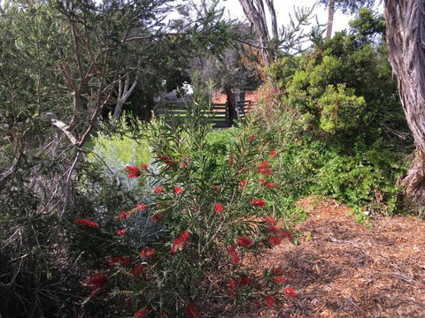 Andrews On Topaz - Accommodation Southport 6