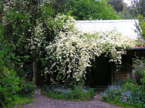 Lemonade Creek Cottages - Southport Accommodation 4