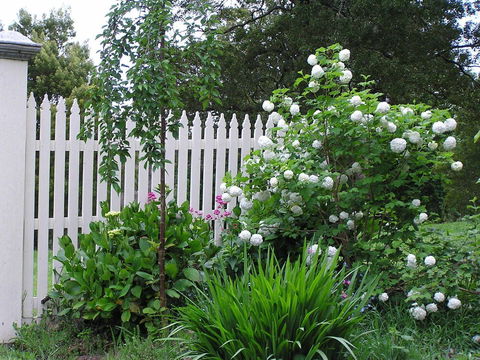 Lemonade Creek Cottages - Southport Accommodation 2