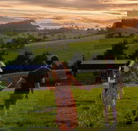 Tilba Lake Pods - Accommodation Southport