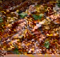 Pizza D'oh - Accommodation Southport