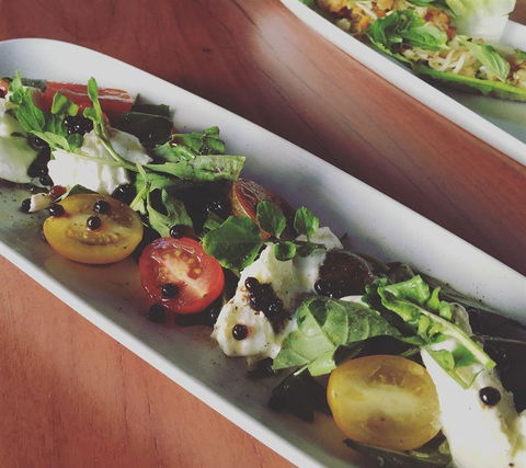 Rhonda's Bar - Southport Accommodation 5