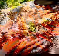 Table 30 - Southport Accommodation