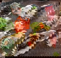 Toshi's Japanese Restaurant - Southport Accommodation