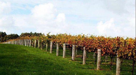 Arimia Restaurant And Winery - Southport Accommodation 10