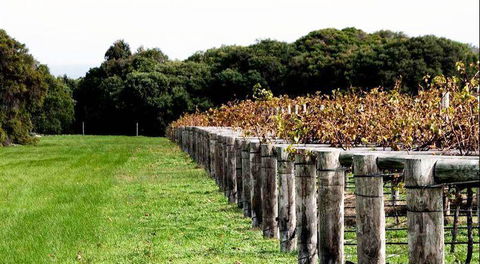 Arimia Restaurant And Winery - Southport Accommodation 5