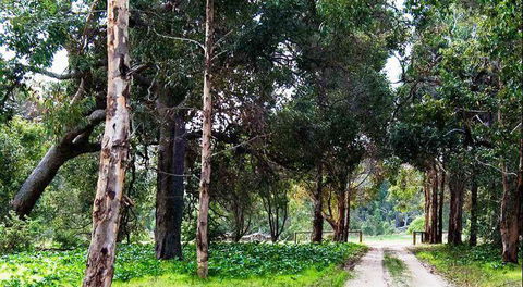 Arimia Restaurant And Winery - Southport Accommodation 7