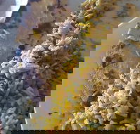 Horsham Masala Indian Restaurant - Accommodation Southport