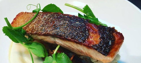 The Shaggy Cow - Accommodation Southport 0