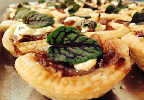 The Shaggy Cow - Accommodation Southport 10