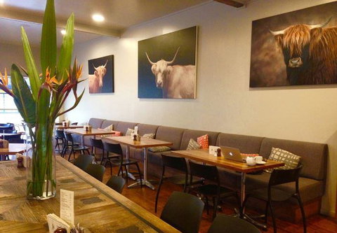 The Shaggy Cow - Accommodation Southport 11