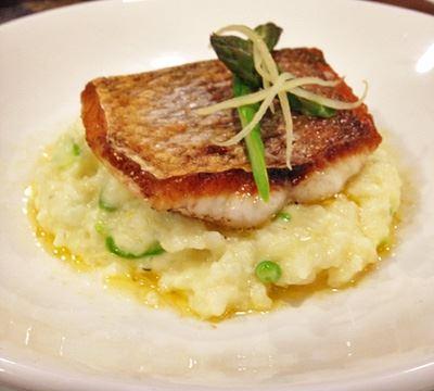 The Shaggy Cow - Accommodation Southport 13