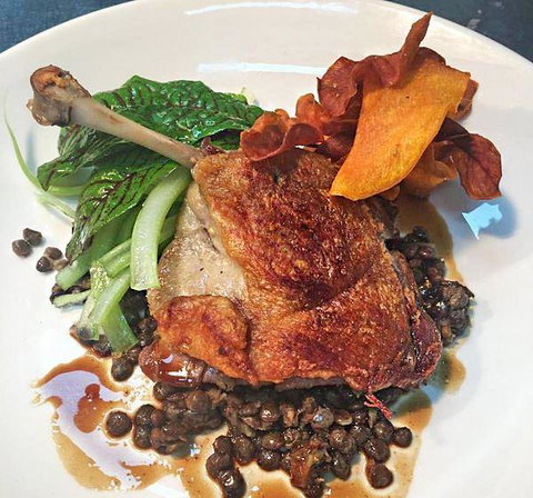 The Shaggy Cow - Accommodation Southport 8