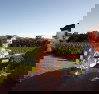 Gapsted Wines - Accommodation Southport