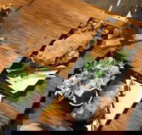 Two Little Owls Cafe - Accommodation Southport