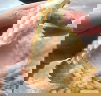 Coleraine Milk Bar - Southport Accommodation