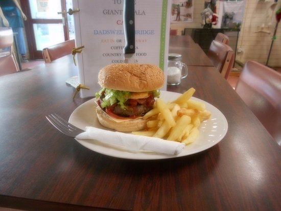 Ledcourt ACT Southport Accommodation