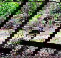 The Wander Inn - Southport Accommodation