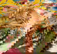 Mu Cha Cha Mexican Kitchen - Southport Accommodation