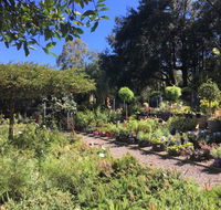Yatte Yattah Nursery  Cafe - Southport Accommodation