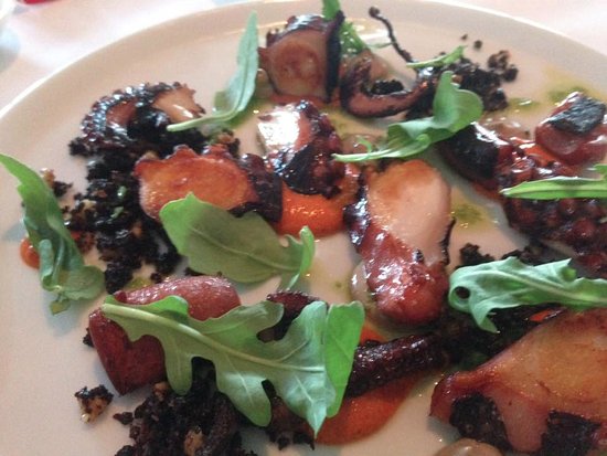 Pearl Beach NSW Southport Accommodation