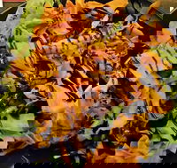 Royal Hotel - Southport Accommodation