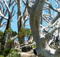 Alpine Eyre - Southport Accommodation