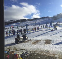 Snow Gums - Southport Accommodation