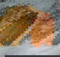 Chipp Inn - Southport Accommodation