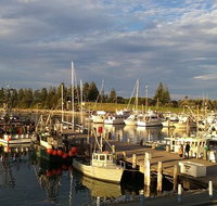 Horse  Camel - Accommodation Southport