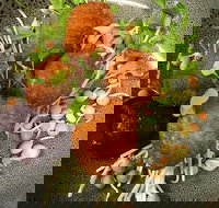 Ollie Masons Cafe - Accommodation Southport