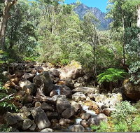 Star Chinese Restaurant - Southport Accommodation