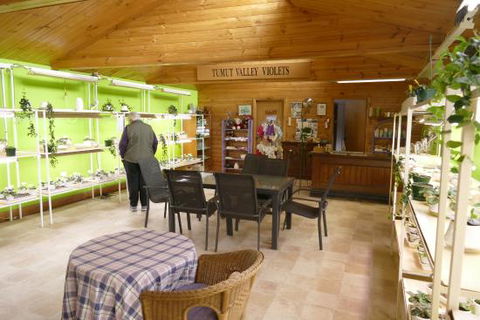 Tumut Valley Violets - Southport Accommodation 0