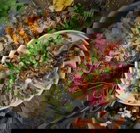 OlleyvilleShaw - Accommodation Southport