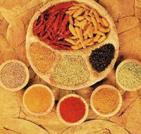 Tehzeeb Indian and Australian Restaurant - Southport Accommodation