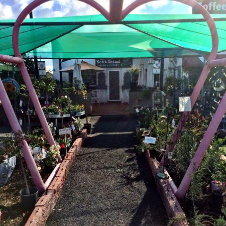 Gilgandra NSW Accommodation Southport