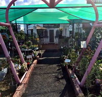 The Next Grind - Accommodation Southport