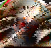 29 Nine 99 - Southport Accommodation